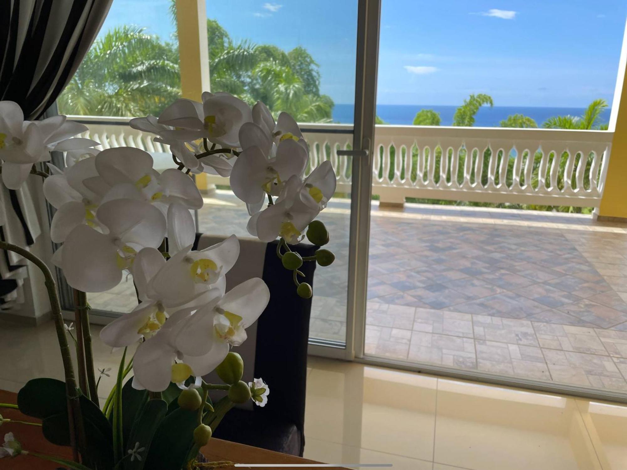 Spring Garden Mobay Resort Montego Bay Zewnętrze zdjęcie